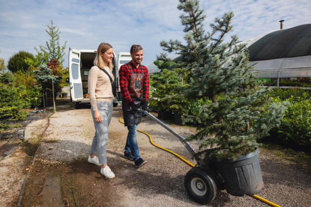 How Our Tree Care Process Works  in  Hurlburt Field, FL